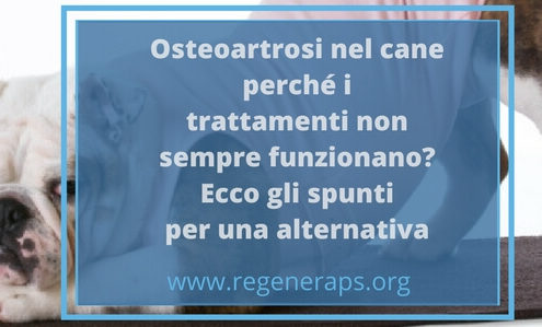 osteoartrosi nel cane problemi e trattamento