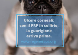 ulcere corneali con il PRP guarisce