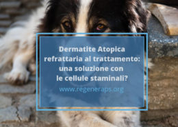 staminali e dermatite atopica