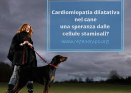 cardiomiopatia dilatativa del cane e cellule staminali