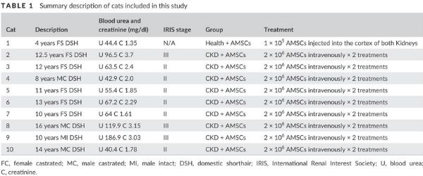 IRC e staminali nel gatto