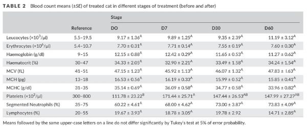IRC e staminali nel gatto