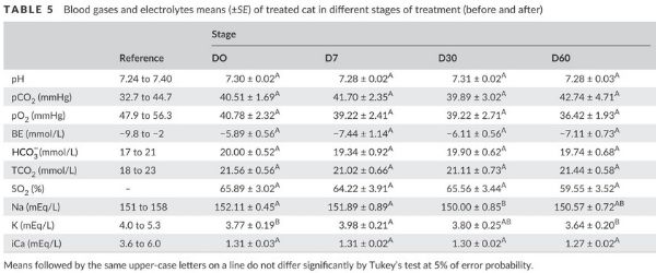 IRC e staminali nel gatto