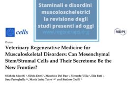 Staminali e disordini muscolo scheletrici