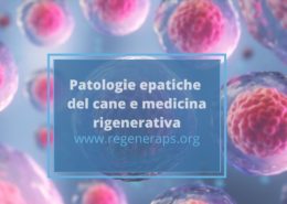 staminali e patologie epatiche